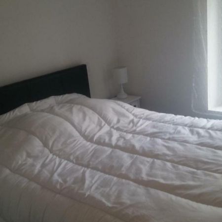 Gite Picarrou Cintegabelle 外观 照片